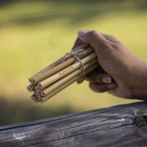 Pajitas reusables de bambu - Pack o individual